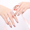 Metallic Mirror Nail Polish