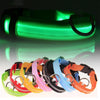 Luminous Pet Collar