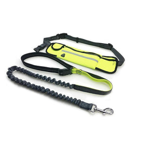 Hands Free Bungee Dog Leash