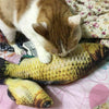 Realistic Looking Cat Kicker Fish Toy