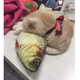 Realistic Looking Cat Kicker Fish Toy