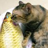 Realistic Looking Cat Kicker Fish Toy