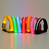 Luminous Pet Collar