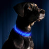 Luminous Pet Collar