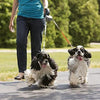Retractable Dog Leash