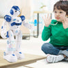 Humanoid Robot