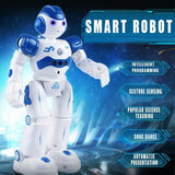 Humanoid Robot