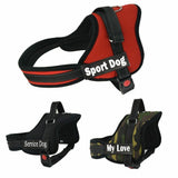 Personalized NO CHOKE Dog Harness