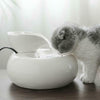 Cat Drinking Feeder